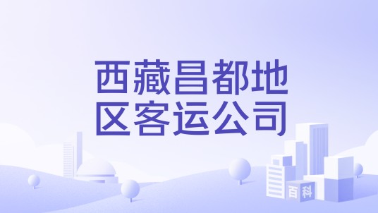 西藏昌都地区客运公司