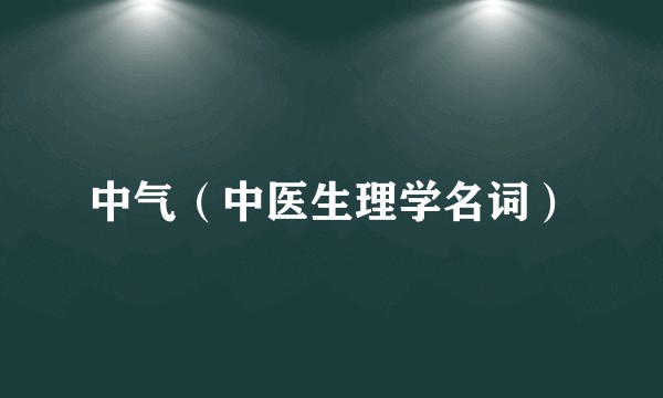 中气（中医生理学名词）