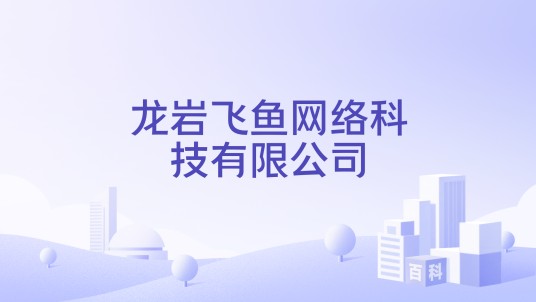 龙岩飞鱼网络科技有限公司