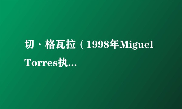 切·格瓦拉（1998年Miguel Torres执导的电影）