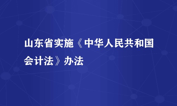 山东省实施《中华人民共和国会计法》办法