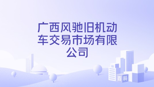 广西风驰旧机动车交易市场有限公司