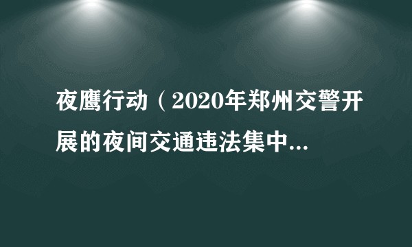 夜鹰行动(2020年郑州交警开展的夜间交通违法集中整治统一行动)