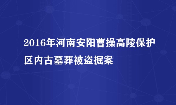 2016年河南安阳曹操高陵保护区内古墓葬被盗掘案