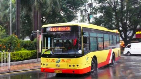 厦门公交116路