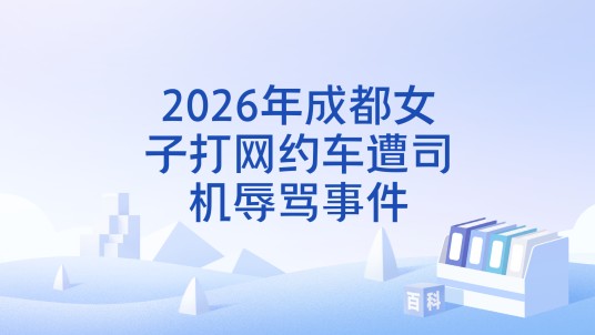 2026年成都女子打网约车遭司机辱骂事件