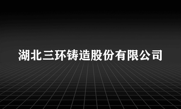 湖北三环铸造股份有限公司
