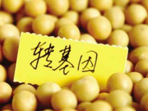 转基因农产品