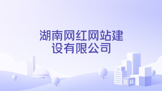湖南网红网站建设有限公司