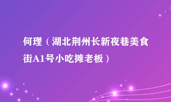 何理（湖北荆州长新夜巷美食街A1号小吃摊老板）