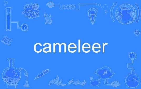 cameleer