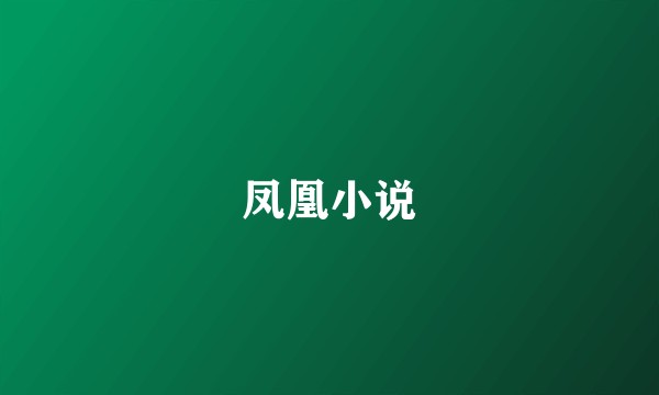 凤凰小说