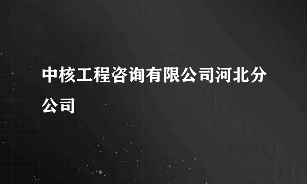 中核工程咨询有限公司河北分公司