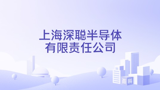 上海深聪半导体有限责任公司