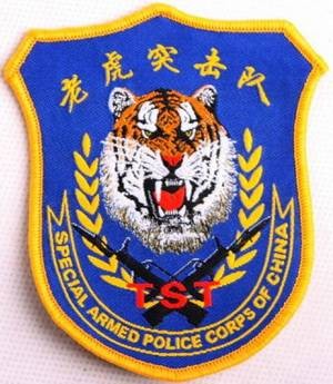 老虎突击队