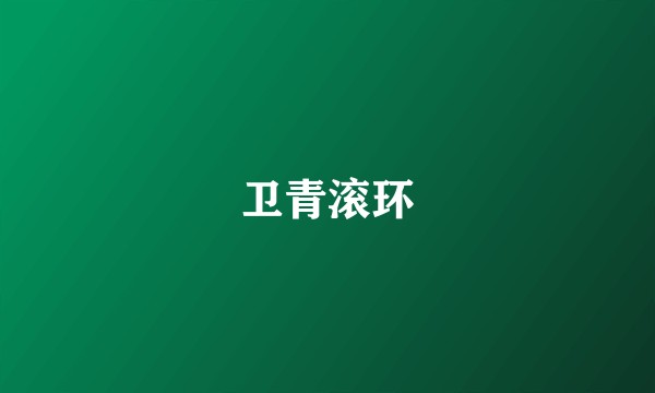 卫青滚环
