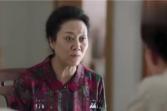 丁瑞兰(都市亲情剧《我怕来不及》中的角色)