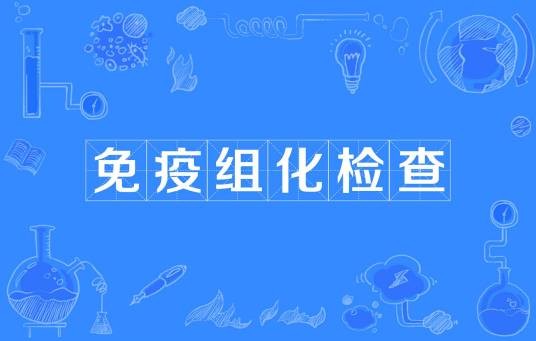 免疫组化检查