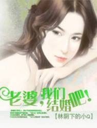 老婆我们结婚吧（林阴下的小Q创作的网络小说）