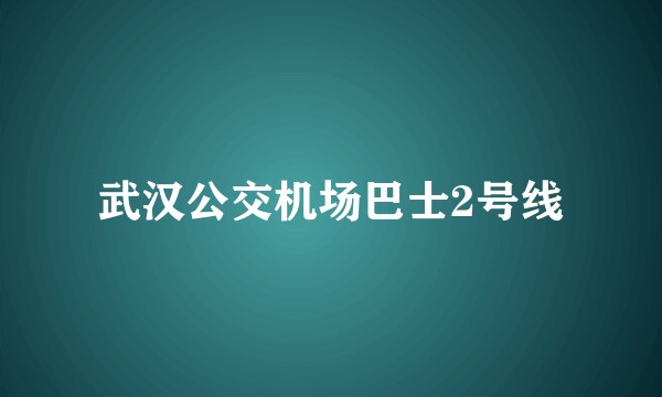 武汉公交机场巴士2号线