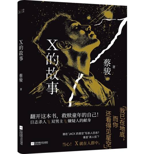 X的故事（2025年江苏凤凰文艺出版社出版的图书）