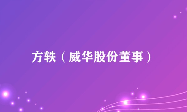 方轶(威华股份董事)
