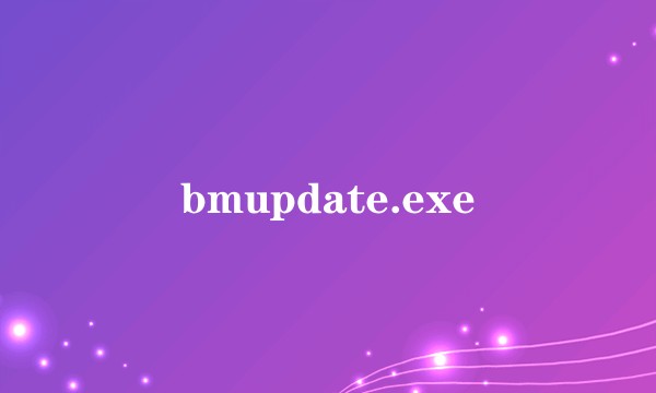 bmupdate.exe