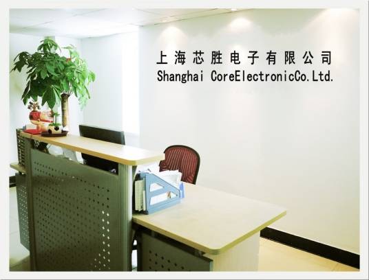 上海芯胜电子有限公司