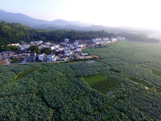 姚西景区