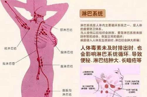 淋巴毒素