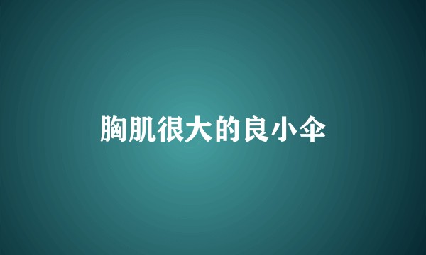 胸肌很大的良小伞