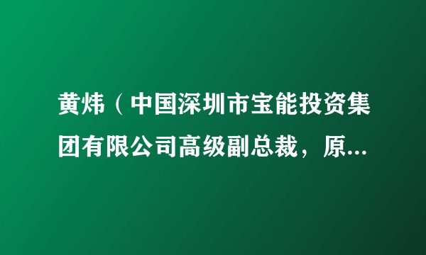黄炜（中国深圳市宝能投资集团有限公司高级副总裁，原新疆前海联合财产保险股份有限公司董事长）