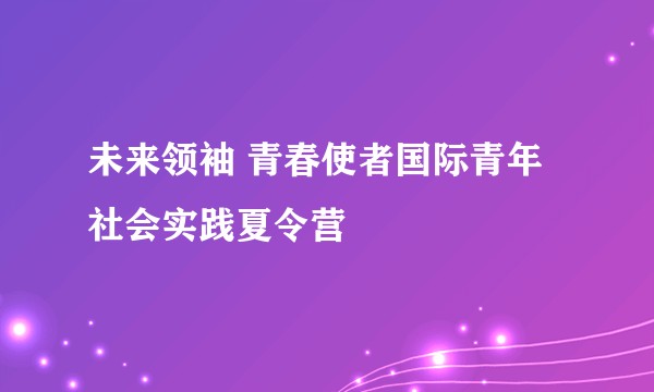未来领袖 青春使者国际青年社会实践夏令营