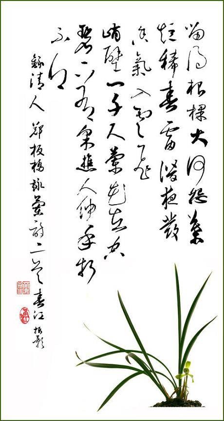 国兰文化