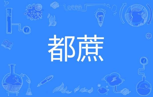 都蔗