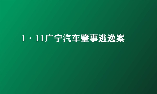 1·11广宁汽车肇事逃逸案