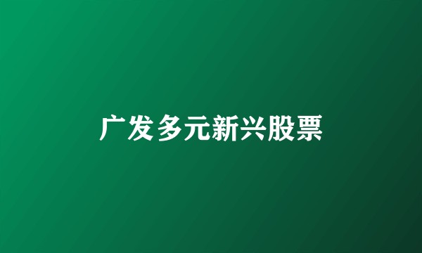 广发多元新兴股票