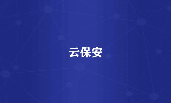 云保安