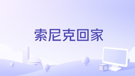 索尼克回家