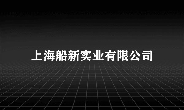 上海船新实业有限公司