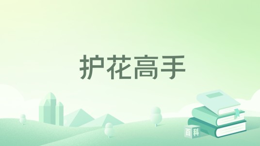 护花高手（大饼所著小说）