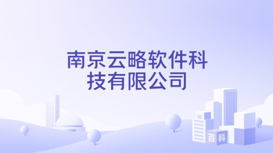 南京云略软件科技有限公司