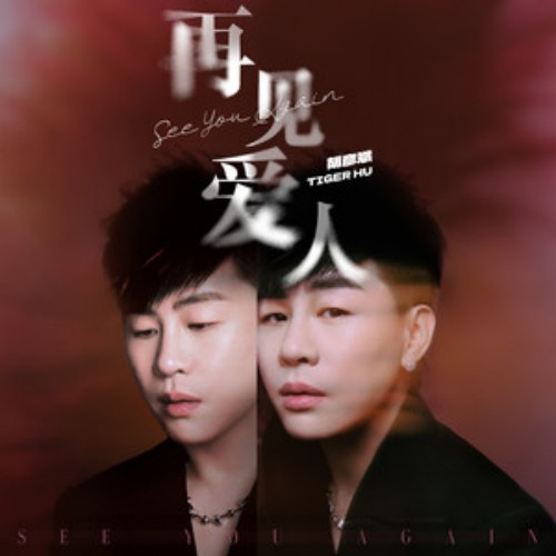 再见爱人（胡彦斌演唱的歌曲）