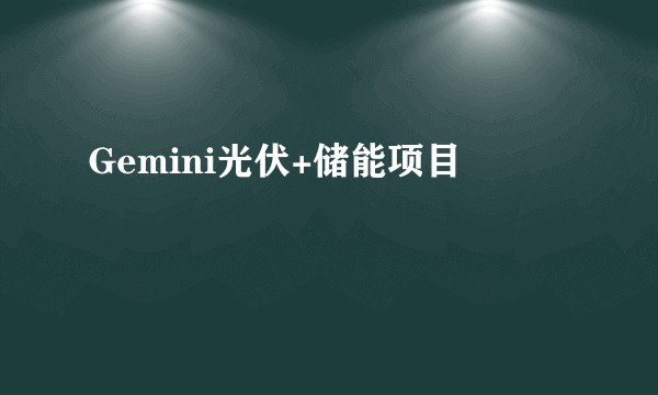 Gemini光伏+储能项目