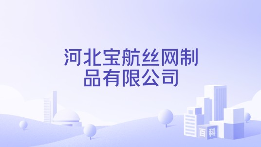 河北宝航丝网制品有限公司
