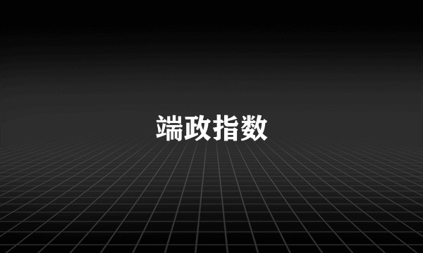 端政指数