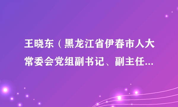 王晓东（黑龙江省伊春市人大常委会党组副书记、副主任、市总工会主席）