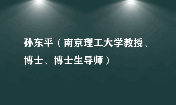 孙东平（南京理工大学教授、博士、博士生导师）