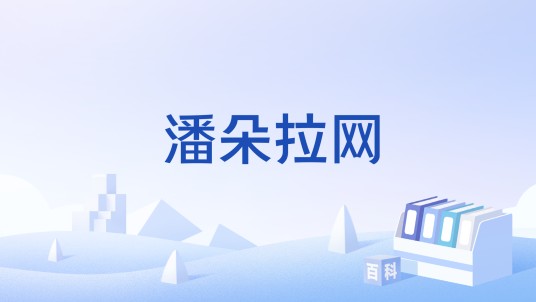 潘朵拉网