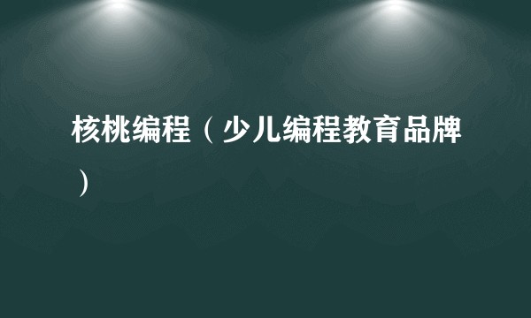 核桃编程（少儿编程教育品牌）